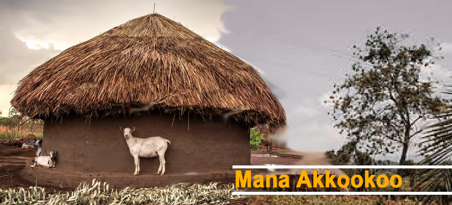 Mana Akkookoo